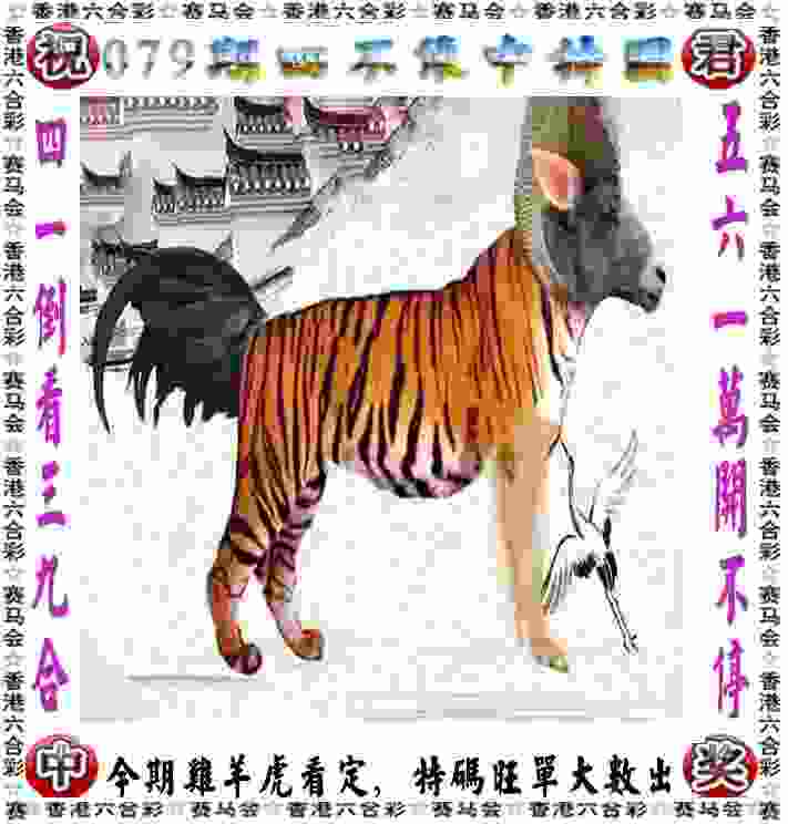 陈梦：最后一届奥运会非常圆满